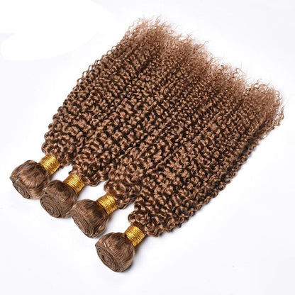 Brazilian Kinky Curly Wave Human Hair Wig 27#